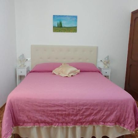 Dalla Carla In Toscana Monte San Savino Εξωτερικό φωτογραφία
